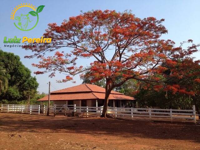 #563 - Fazenda para Venda em Monte do Carmo - TO - 1