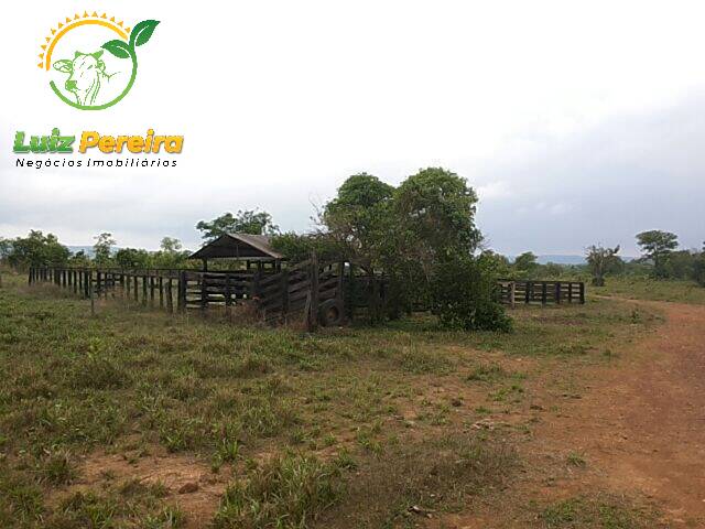 #563 - Fazenda para Venda em Monte do Carmo - TO - 3