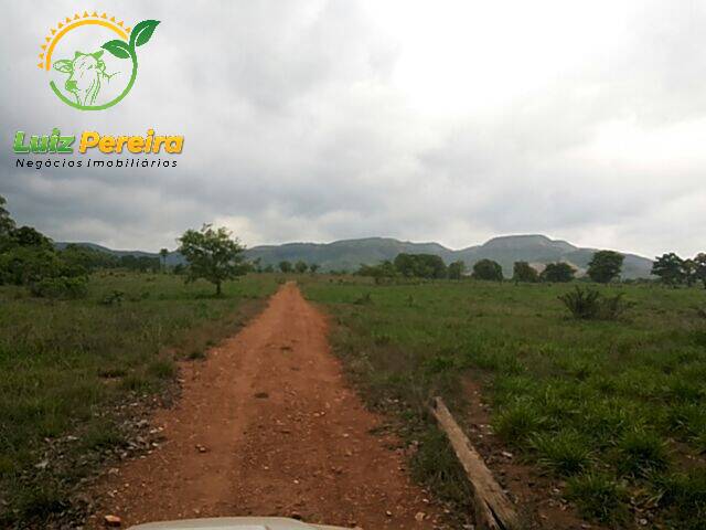 Fazenda para Venda em Monte do Carmo - 4