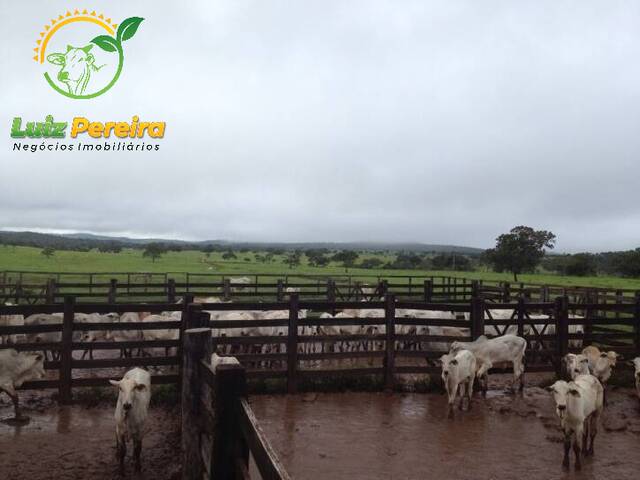 Fazenda para Venda em Monte do Carmo - 5