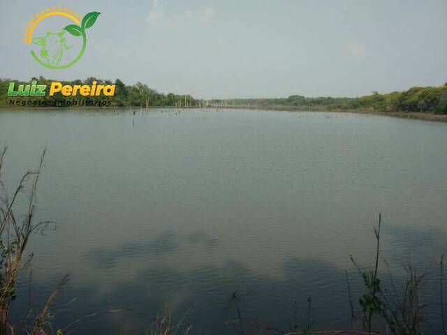 #641 - Fazenda para Venda em Divinópolis do Tocantins - TO - 1