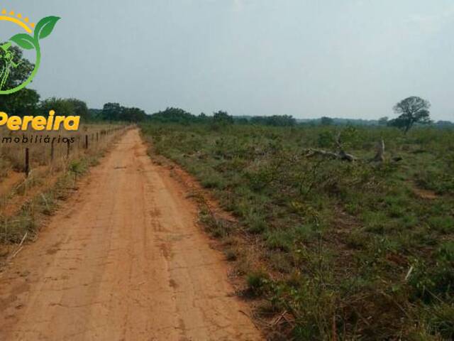 #641 - Fazenda para Venda em Divinópolis do Tocantins - TO - 2