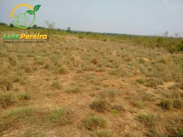 Fazenda para Venda em Divinópolis do Tocantins - 4