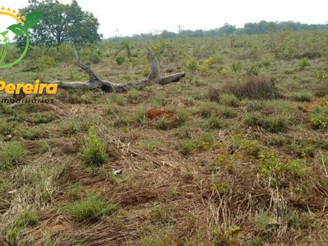 Fazenda para Venda em Divinópolis do Tocantins - 5