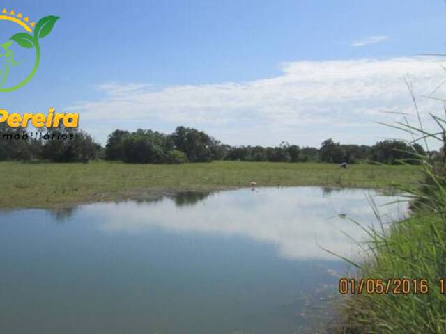 #653 - Fazenda para Venda em Formoso do Araguaia - TO - 1