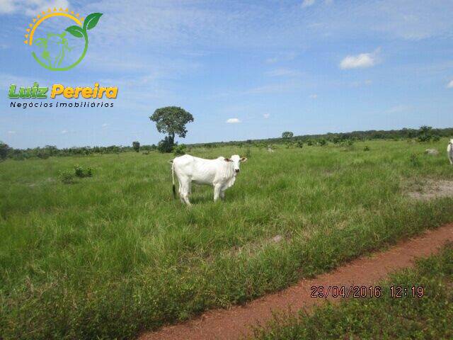 Fazenda para Venda em Formoso do Araguaia - 4