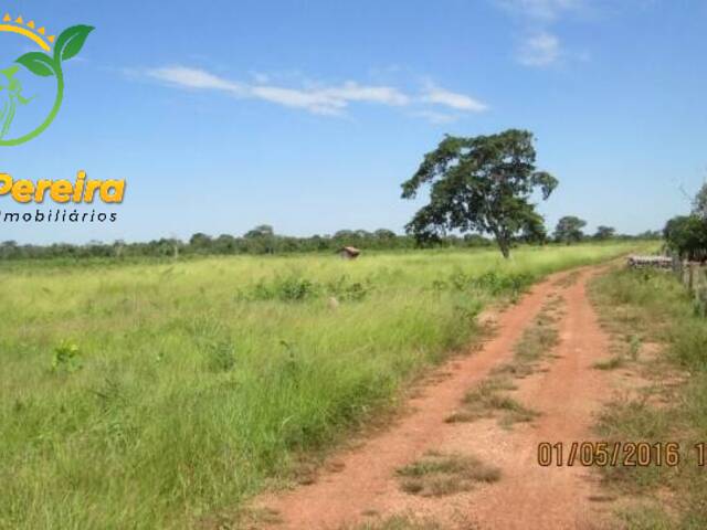 Fazenda para Venda em Formoso do Araguaia - 5