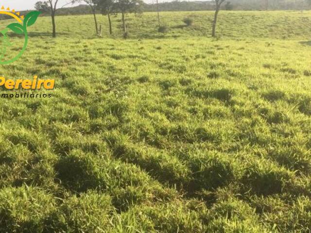 #681 - Fazenda para Venda em Miracema do Tocantins - TO - 2