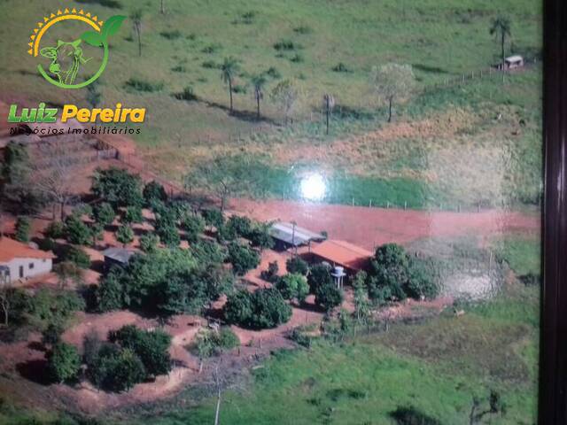 #681 - Fazenda para Venda em Miracema do Tocantins - TO - 3