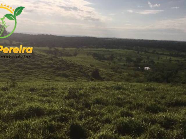 Fazenda para Venda em Miracema do Tocantins - 4