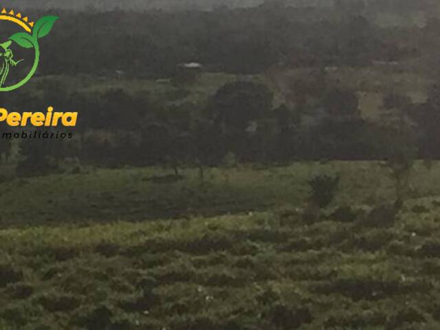 Fazenda para Venda em Miracema do Tocantins - 5
