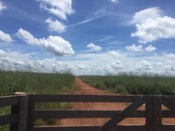 Imóveis à venda em Abreulândia TO Imóvel em Abreulândia