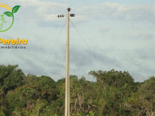 #200 - Fazenda para Venda em Rio Sono - TO - 1