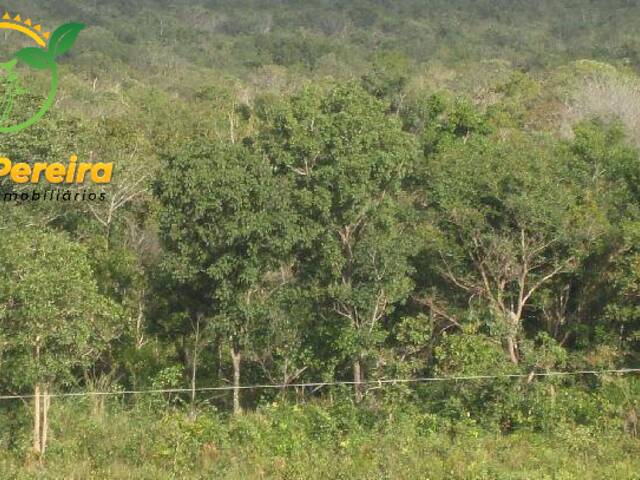 #200 - Fazenda para Venda em Rio Sono - TO - 3