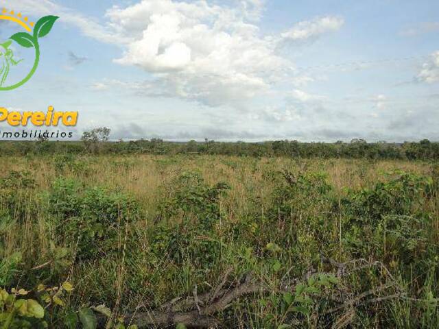 #200 - Fazenda para Venda em Rio Sono - TO - 2