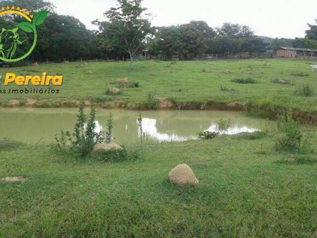 #693 - Fazenda para Venda em Unaí - MG - 1