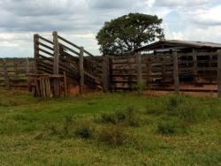Fazenda para Venda em Ribas do Rio Pardo - 2