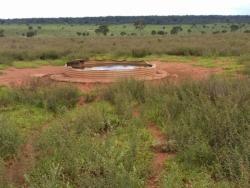 Fazenda para Venda em Ribas do Rio Pardo - 1