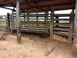 Fazenda para Venda em Ribas do Rio Pardo - 3