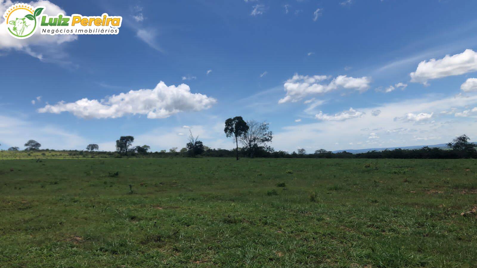 Fazenda-Sítio-Chácara, 480 hectares - Foto 4