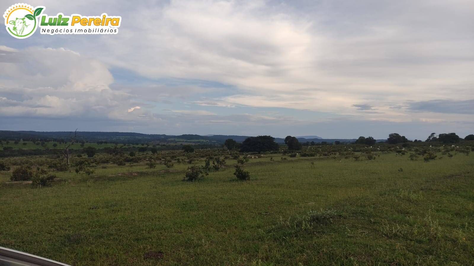 Fazenda-Sítio-Chácara, 116 hectares - Foto 3