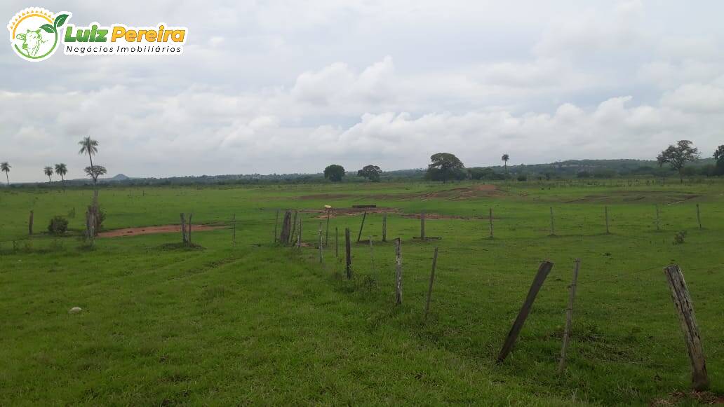 Fazenda-Sítio-Chácara, 116 hectares - Foto 1