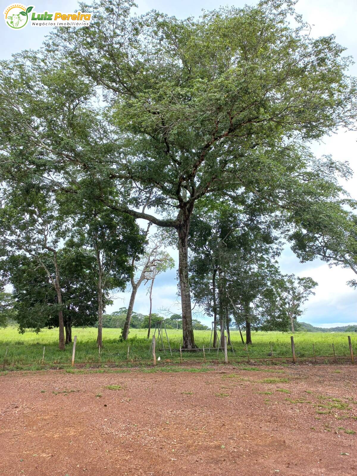 Fazenda-Sítio-Chácara, 8000 hectares - Foto 2