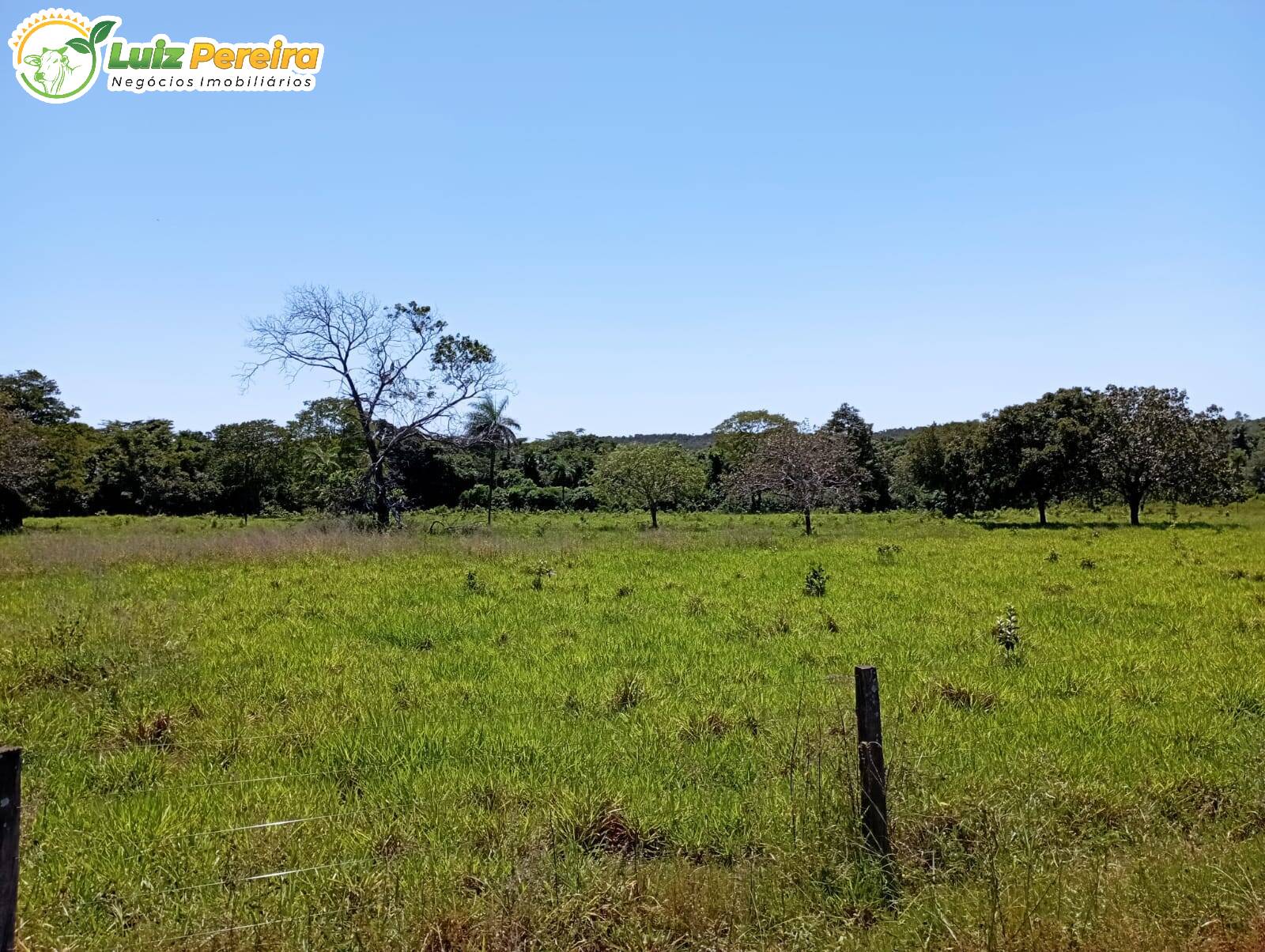 Fazenda-Sítio-Chácara, 1597 hectares - Foto 2