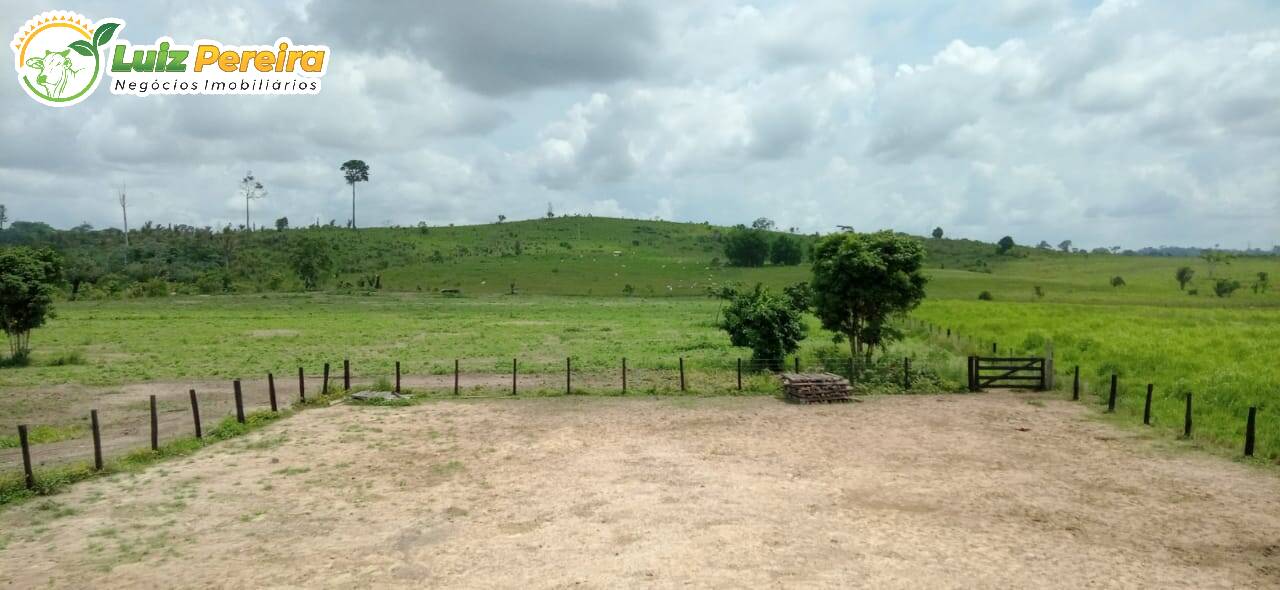 Fazenda-Sítio-Chácara, 479 hectares - Foto 3