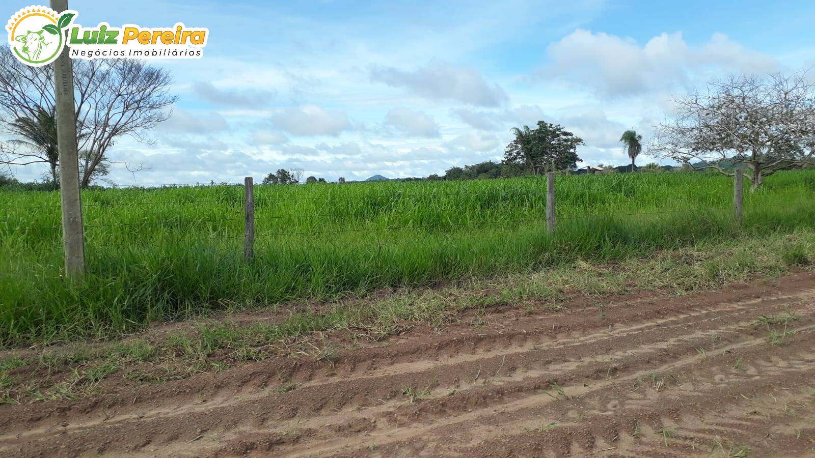 Terreno à venda, 82280000m² - Foto 10