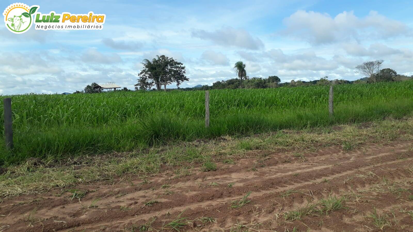 Terreno à venda, 82280000m² - Foto 11