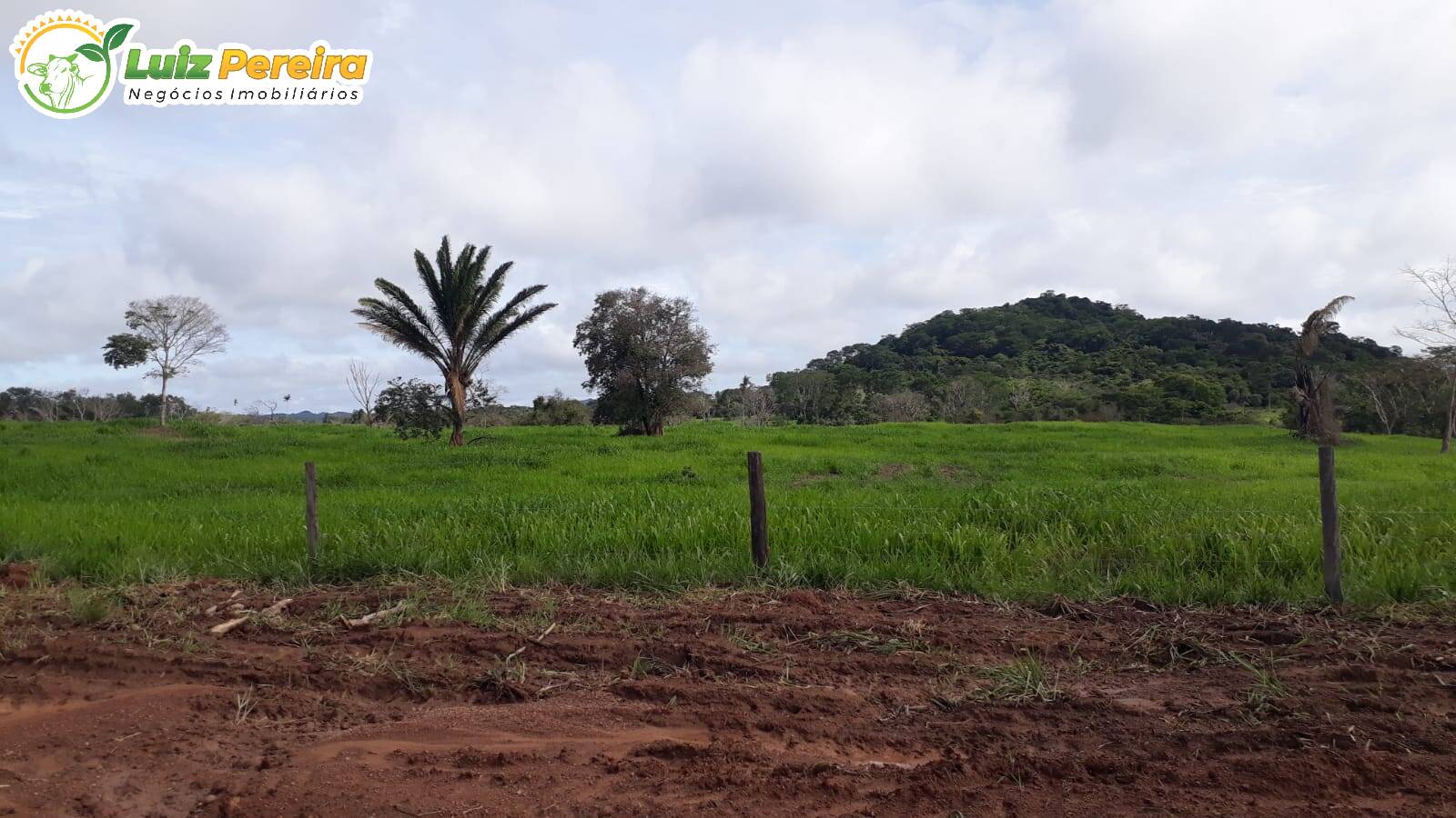 Terreno à venda, 82280000m² - Foto 12