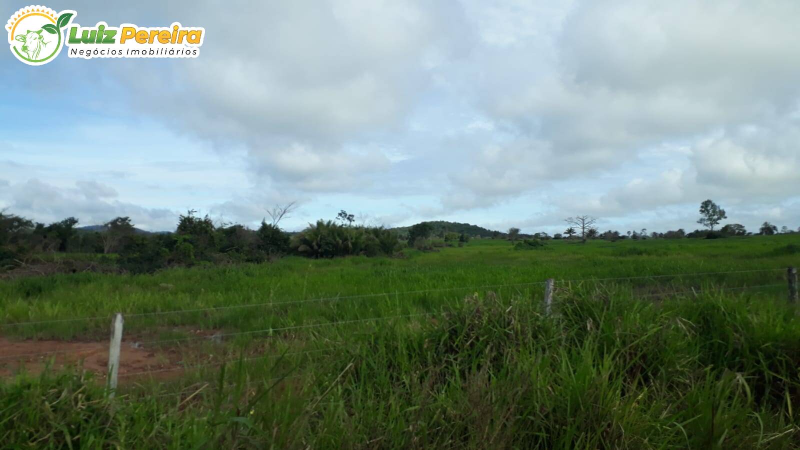 Terreno à venda, 82280000m² - Foto 13
