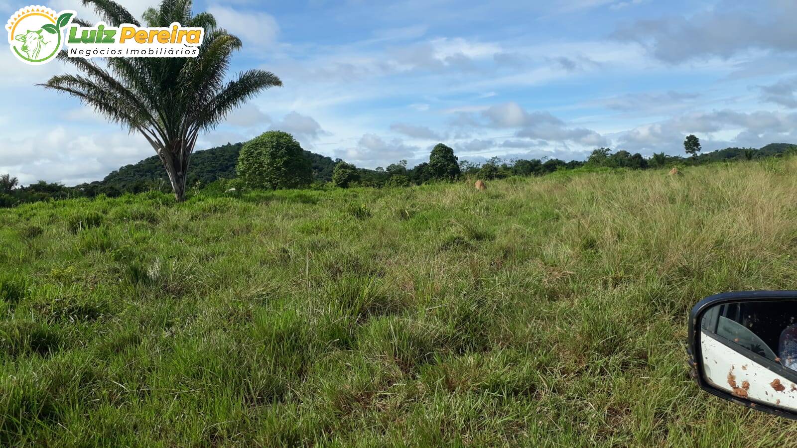 Terreno à venda, 82280000m² - Foto 3