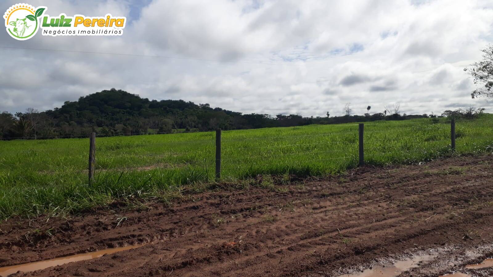 Terreno à venda, 82280000m² - Foto 15