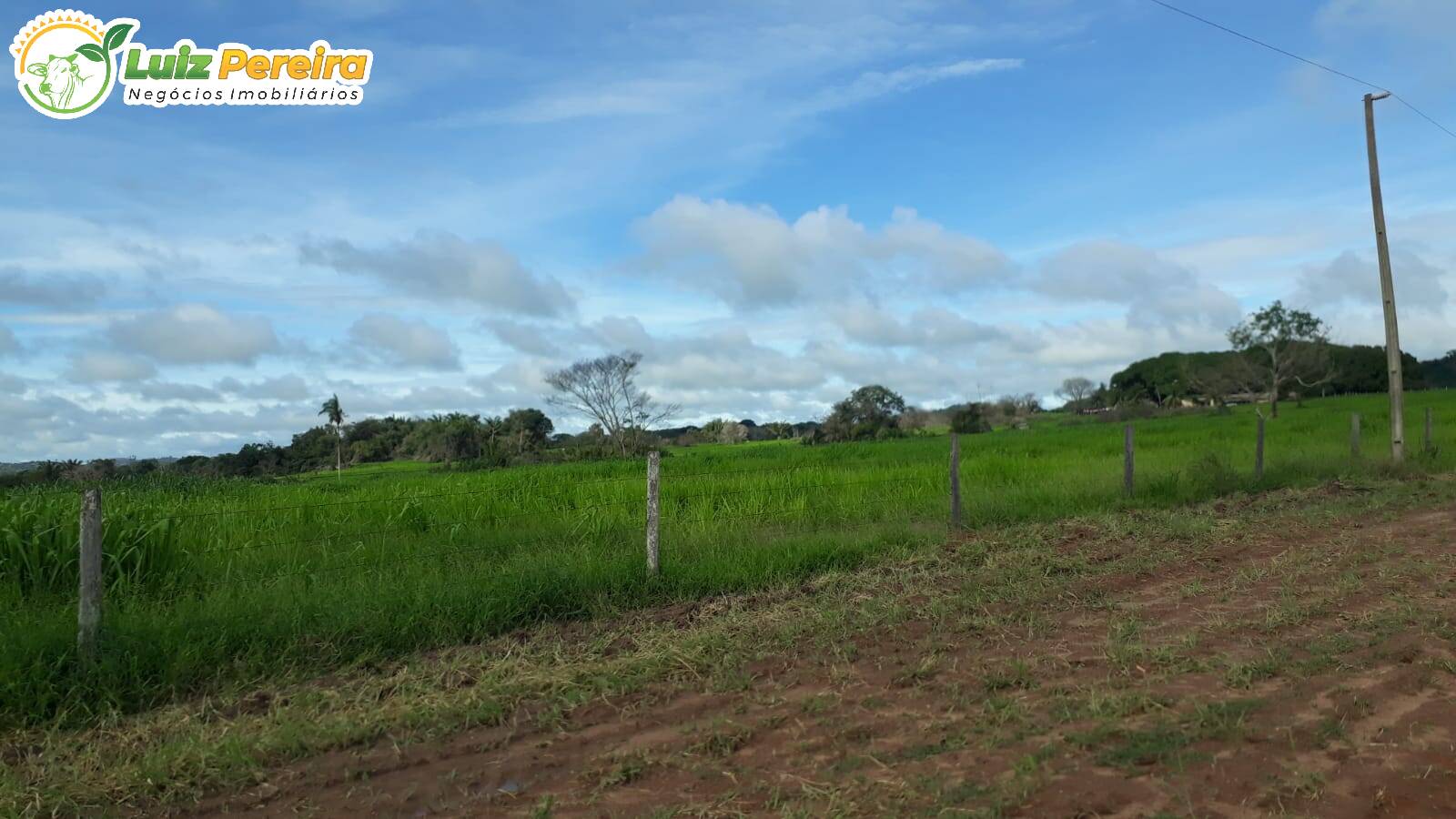 Terreno à venda, 82280000m² - Foto 16