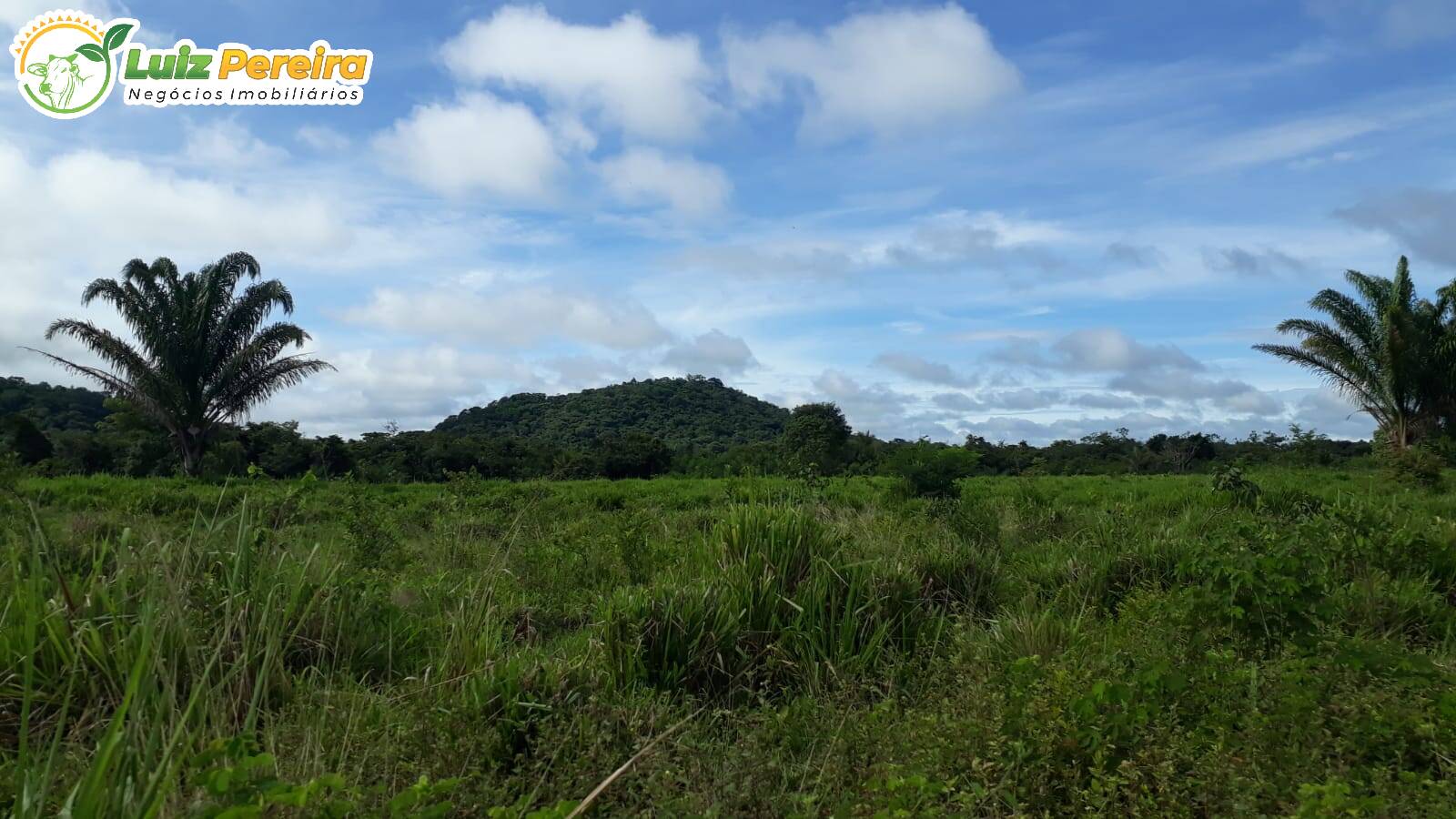 Terreno à venda, 82280000m² - Foto 4