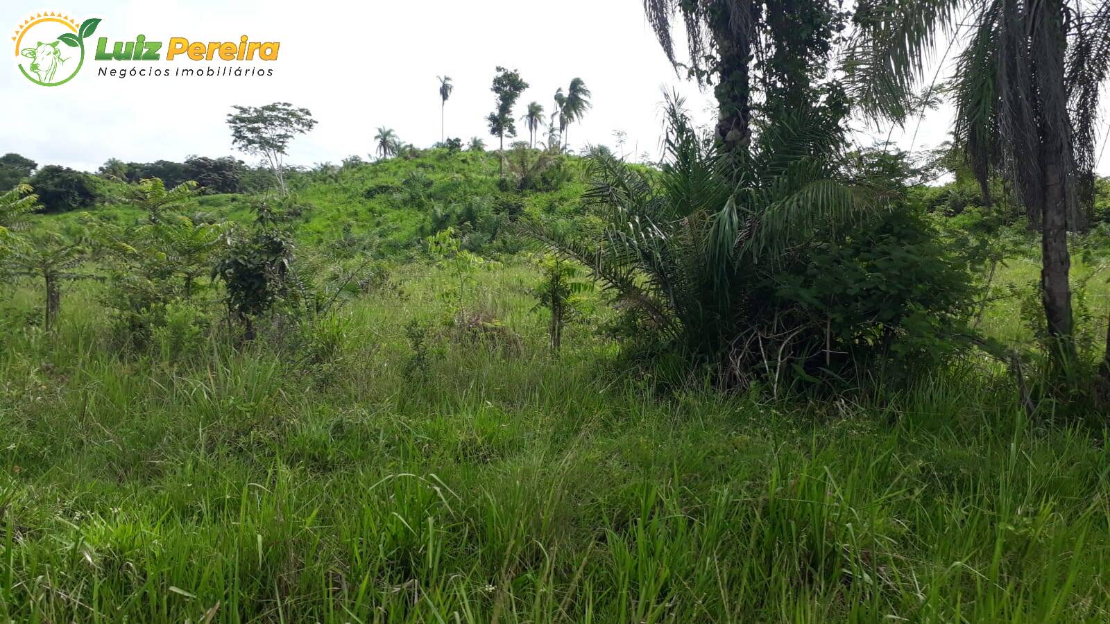 Terreno à venda, 82280000m² - Foto 6