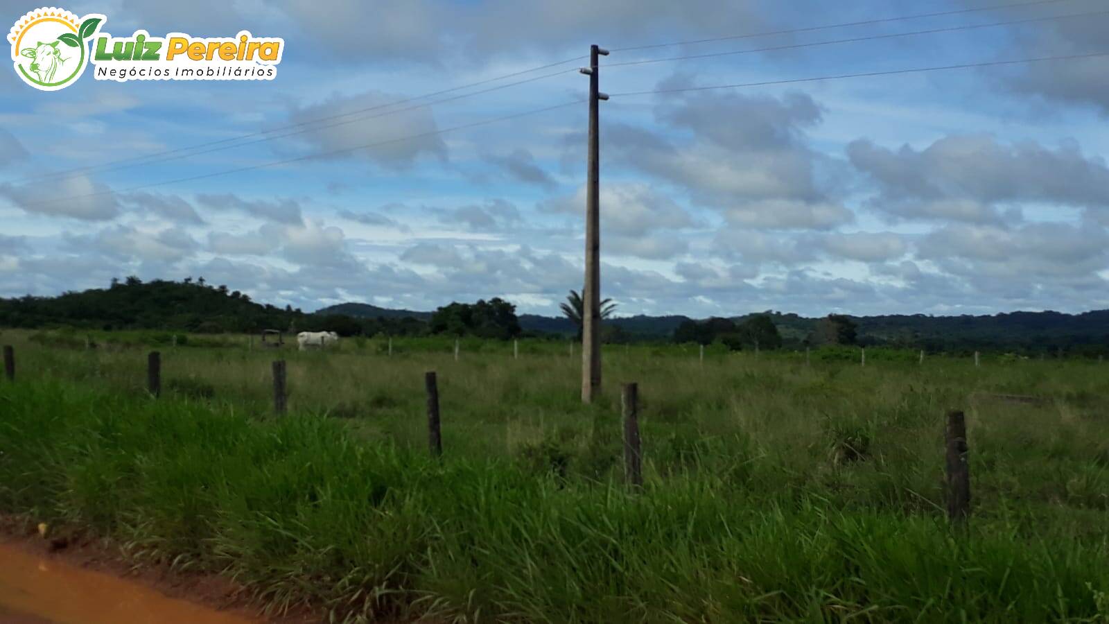 Terreno à venda, 82280000m² - Foto 7