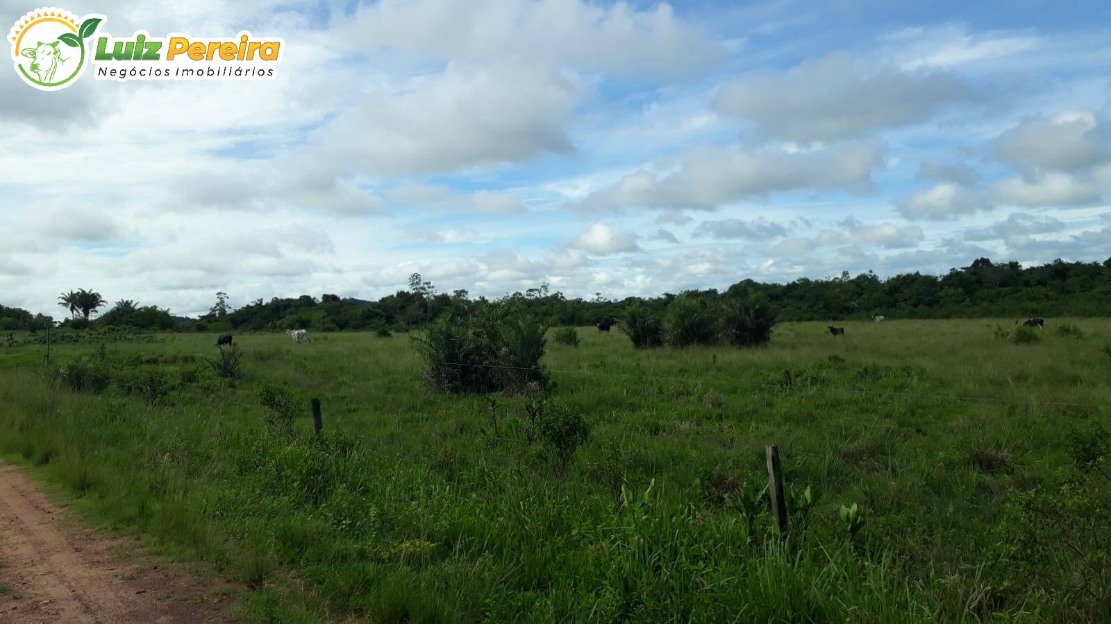 Terreno à venda, 82280000m² - Foto 8