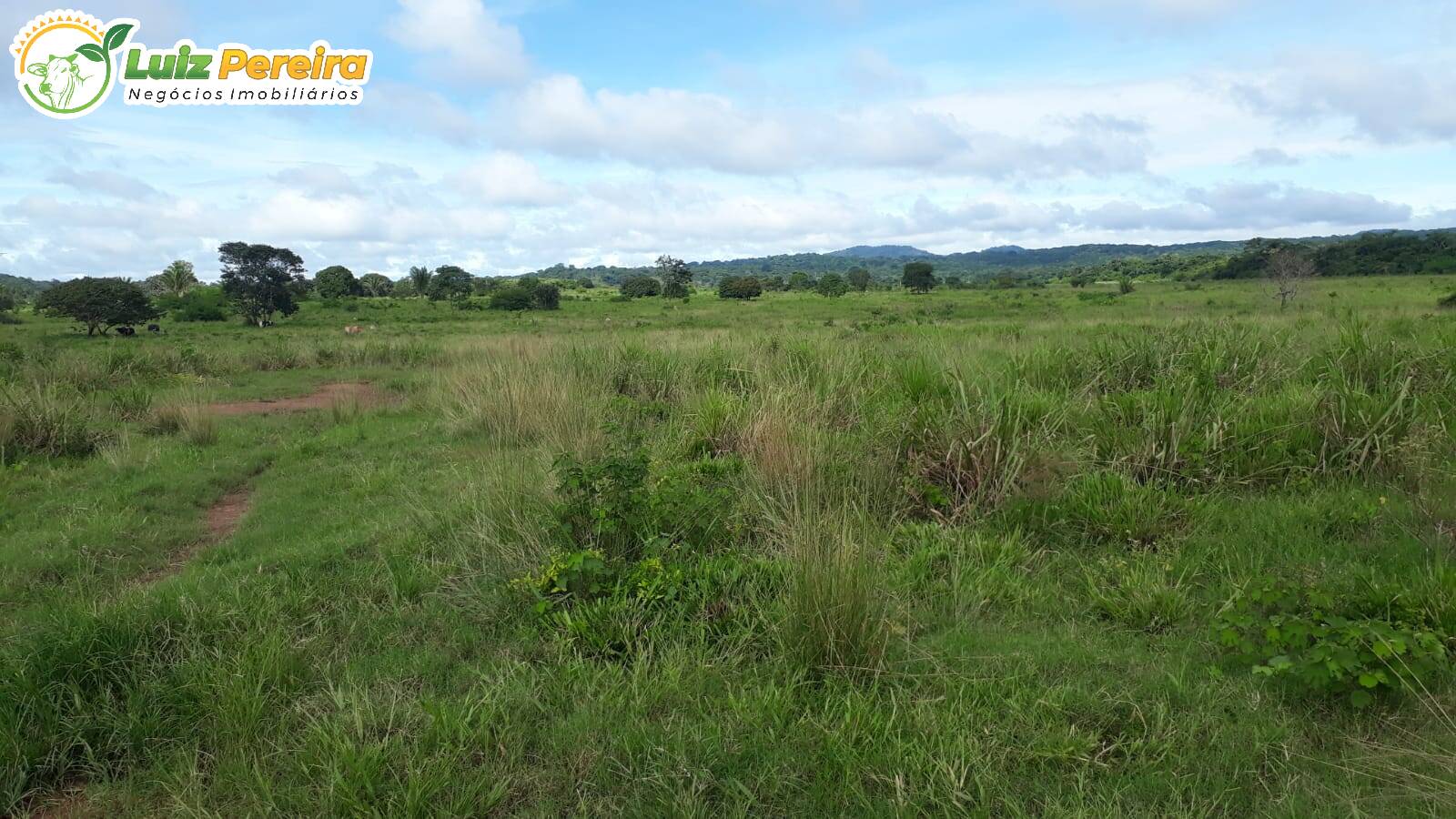 Terreno à venda, 82280000m² - Foto 9