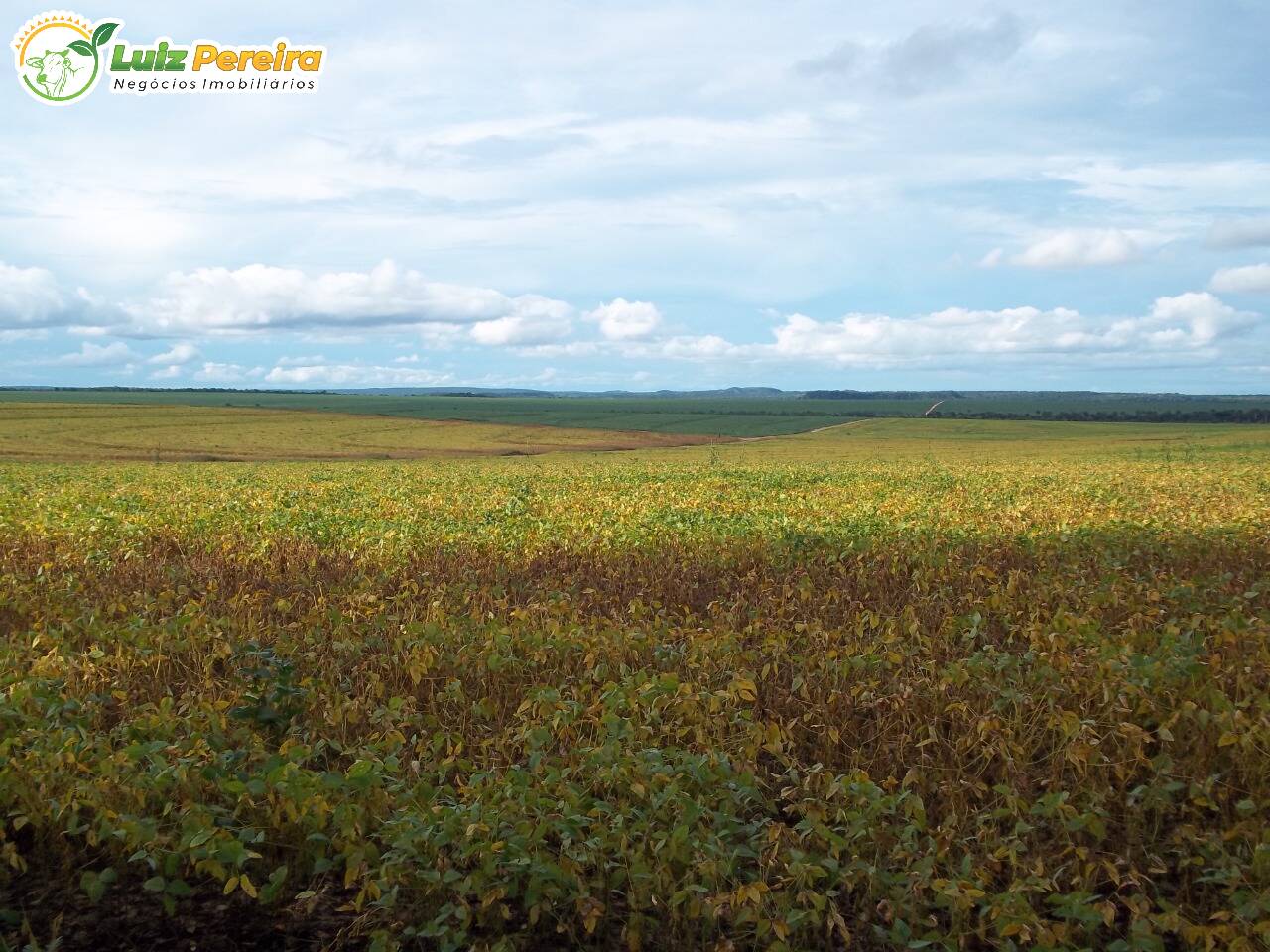 Terreno à venda, 44020000m² - Foto 6