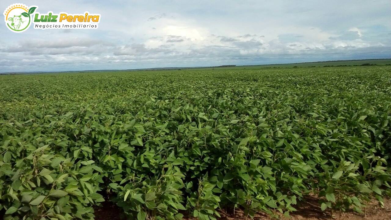 Terreno à venda, 44020000m² - Foto 3