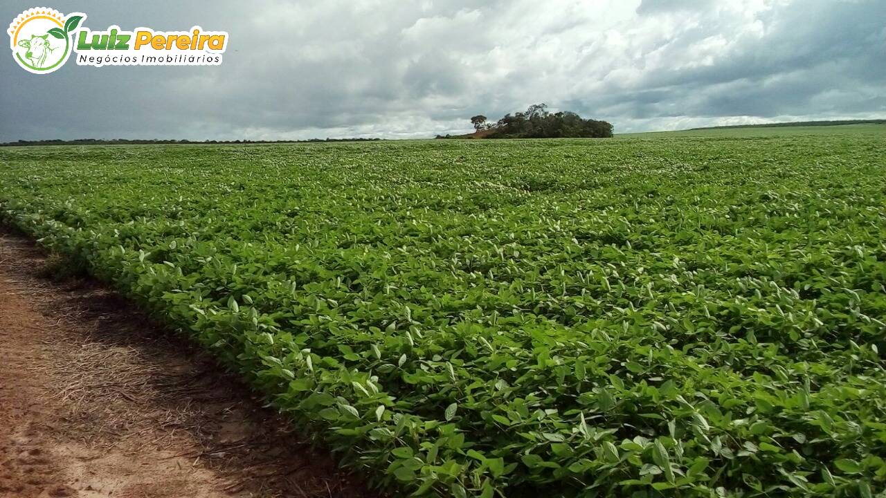 Terreno à venda, 44020000m² - Foto 1
