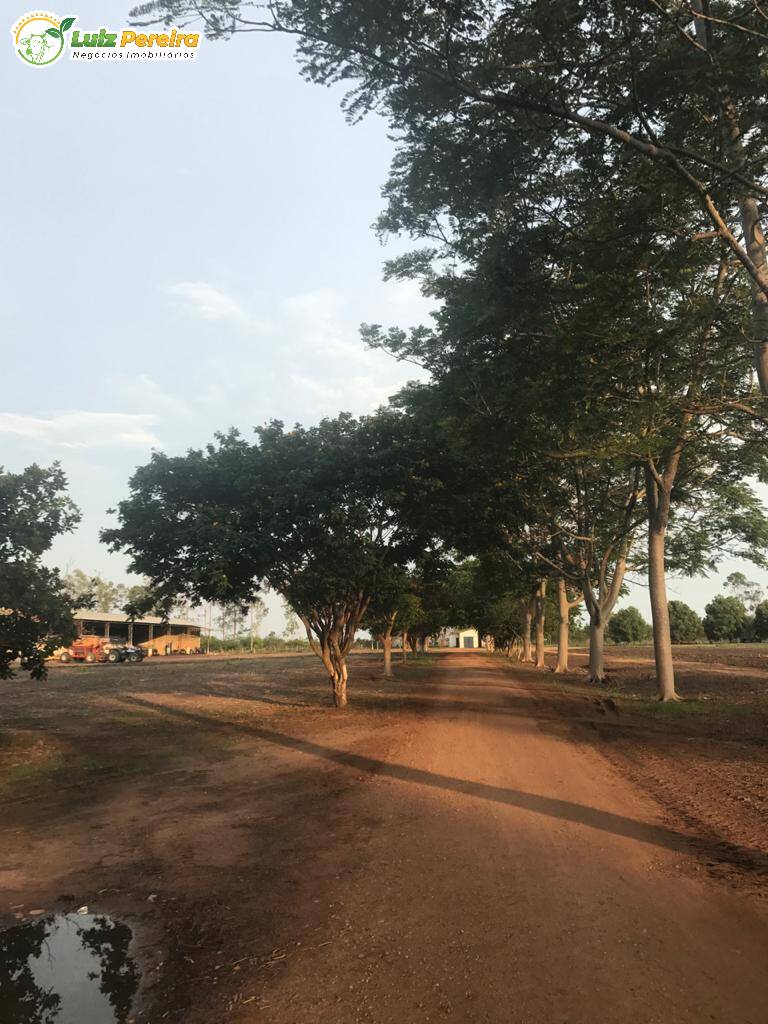 Terreno à venda, 44020000m² - Foto 12