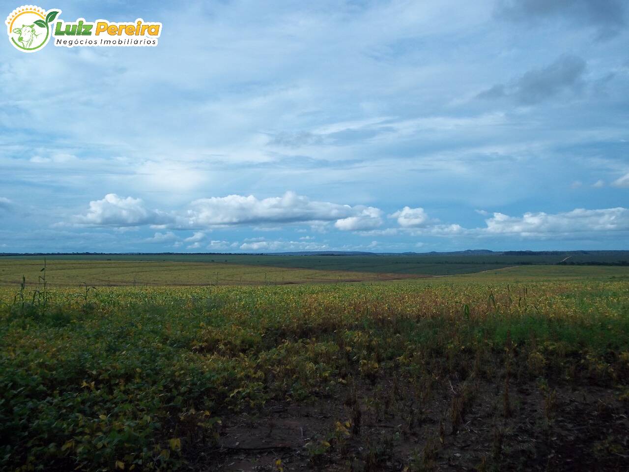 Terreno à venda, 44020000m² - Foto 5