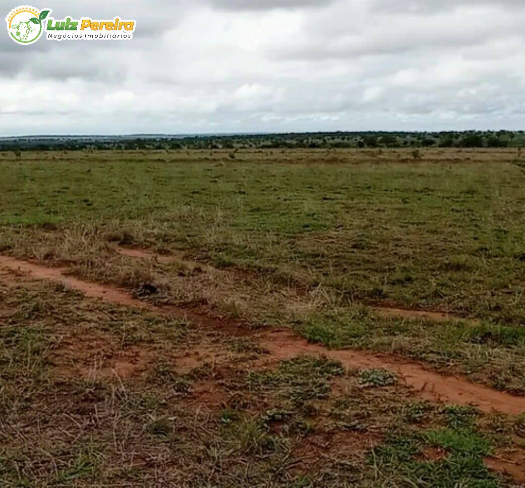 Terreno à venda, 12680800m² - Foto 3
