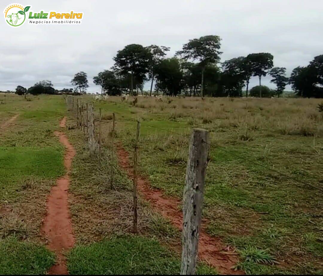 Terreno à venda, 12680800m² - Foto 2