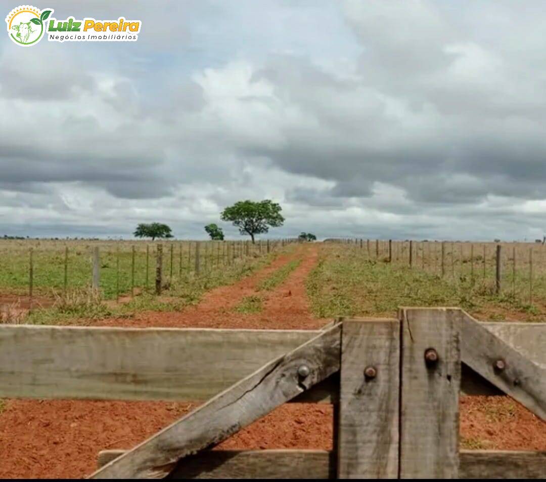 Terreno à venda, 12680800m² - Foto 7