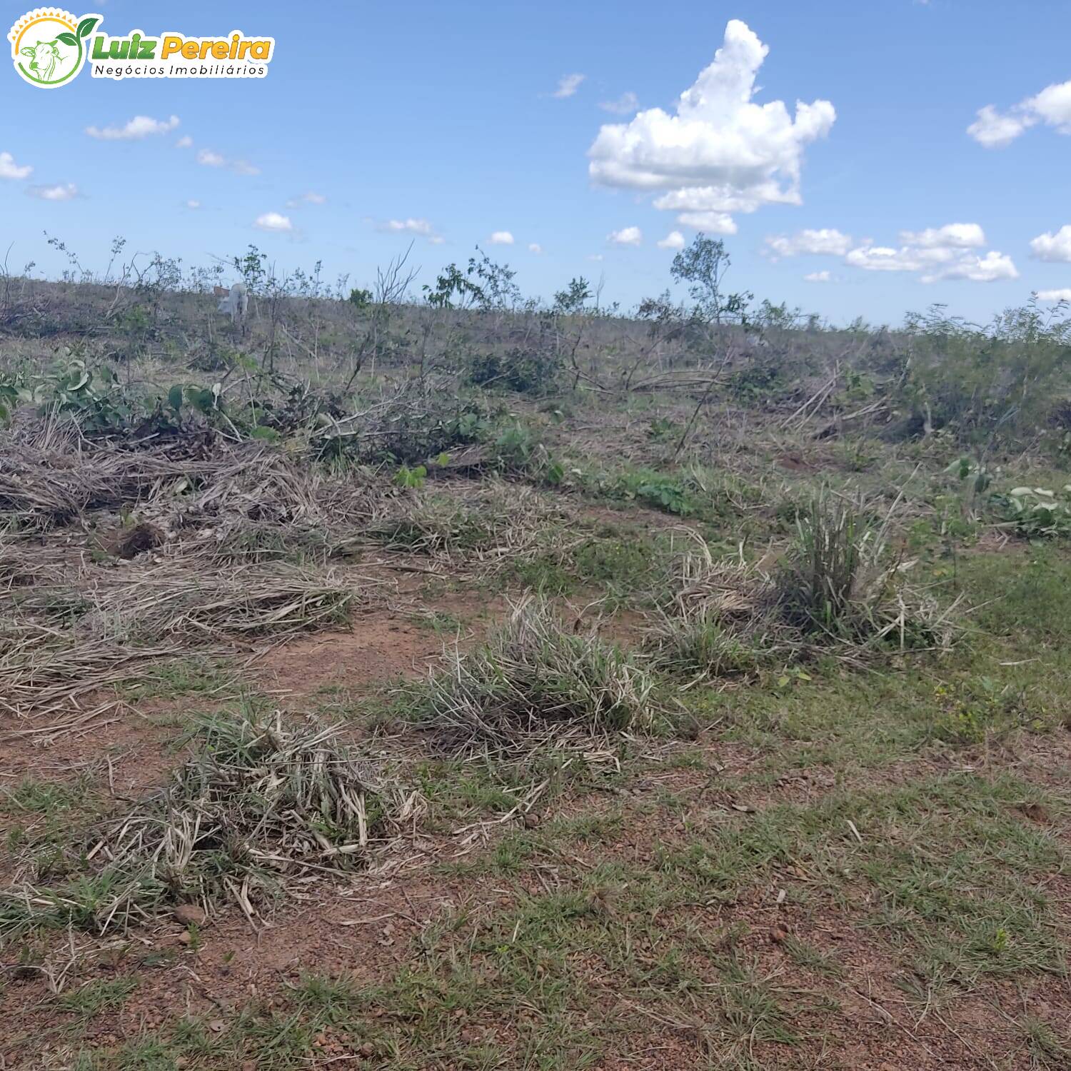 Terreno à venda, 32912000m² - Foto 21